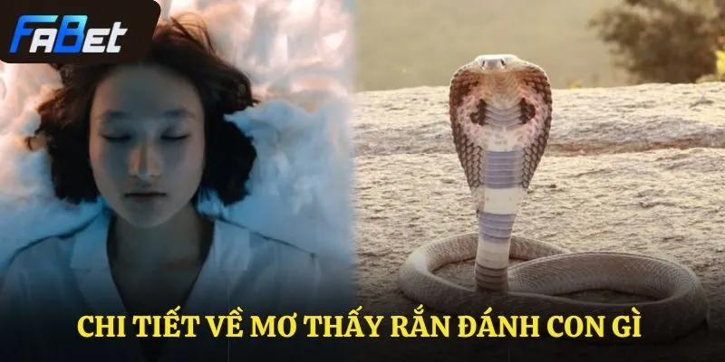 Chi tiết về mơ thấy rắn đánh con gì